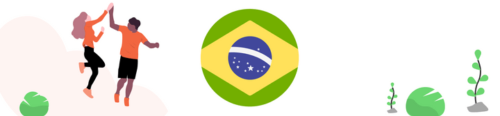 Flag of Brazil to show Shipa Freight capacity to ship to Brazil