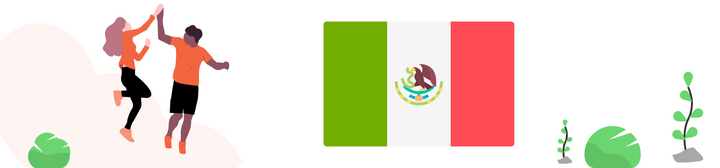 Flag of Brazil to show Shipa Freight capacity to ship to Mexico